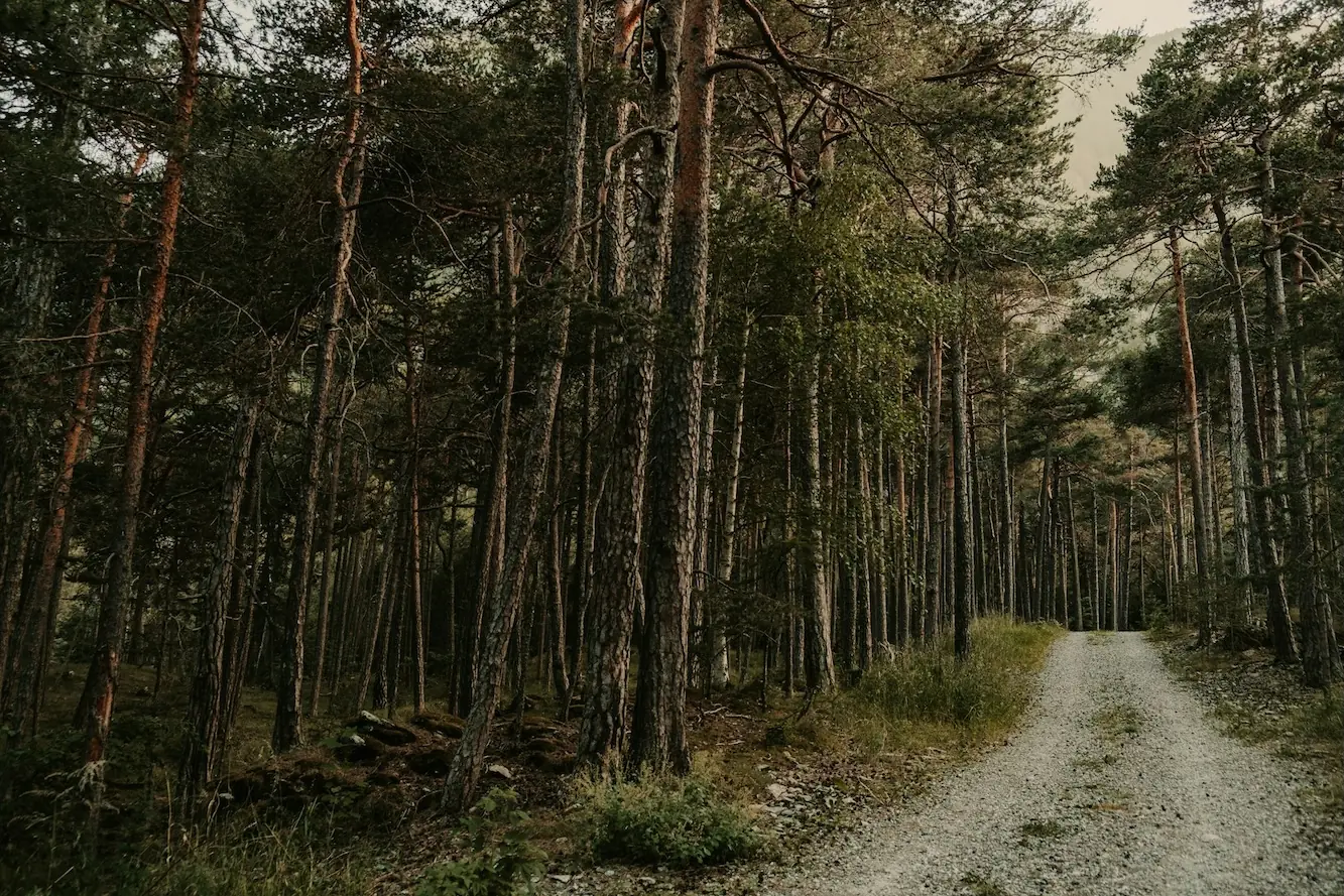 Bewusst Reisen heißt Natur schützen