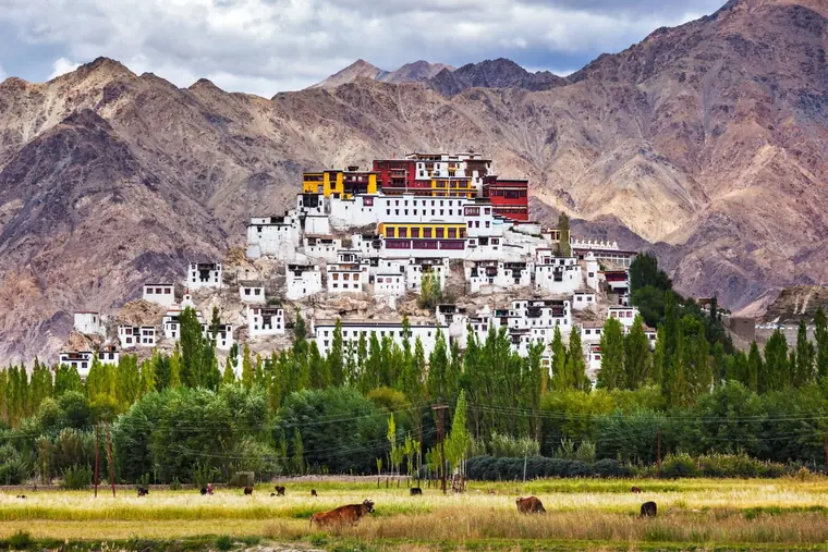 Gompa Ladakh India