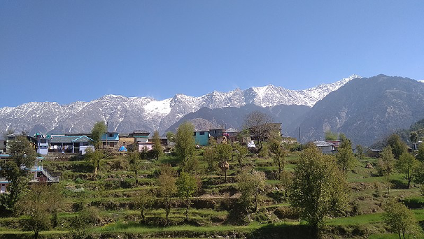 Indien Tor zum Himalaya Tag 15 Himachal Pradesh Naddi Blick auf Dhauladhar Bergkette