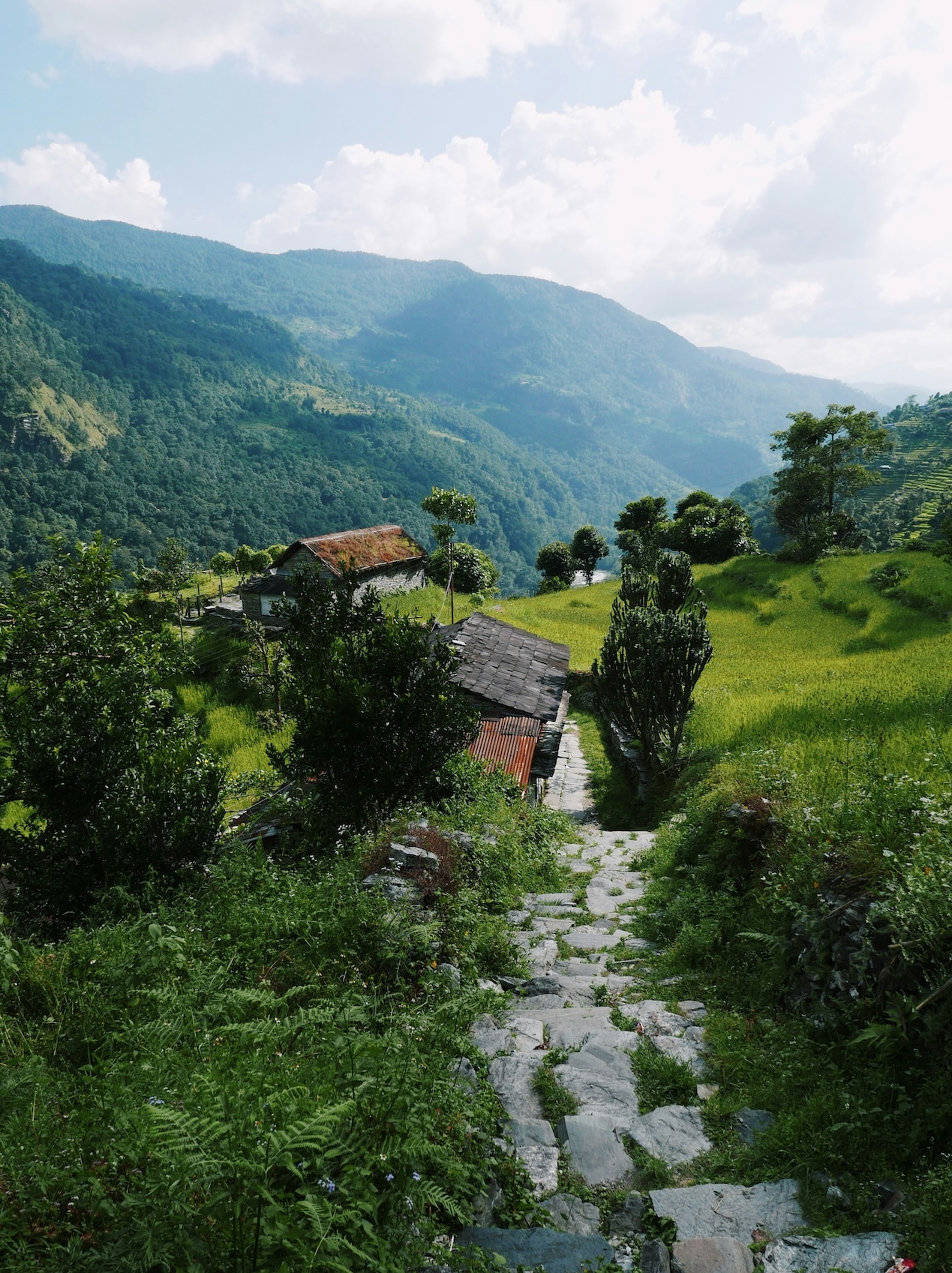 nepal